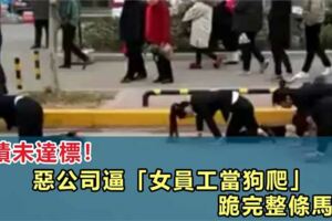 業績未達標！惡公司逼「女員工當狗爬」跪完整條馬路