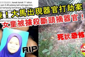悚！大馬出現器官打劫案！女童被擄殺，斷頭摘器官！死狀恐怖！