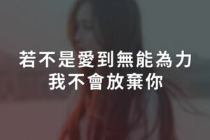 若不是愛到無能為力，我不會放棄你