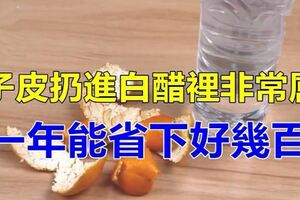 橘子皮扔進白醋裡非常厲害，一年能省下好幾百，學會記得告訴家裡人