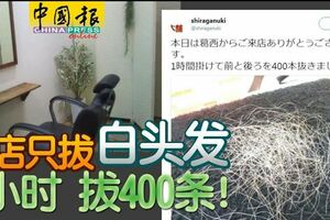 這店只拔白頭發1小時拔400條！