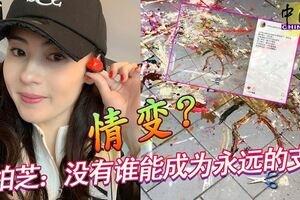 情變？　張柏芝：沒有誰能成為永遠的支柱
