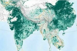環保真的沒白做！NASA研究發現「地球比20年前更綠了」　專家指出「這2個工業污染大國」貢獻最大