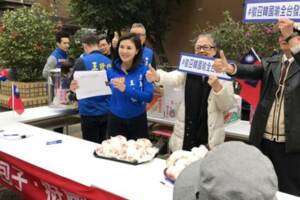土包子站出來！王欣儀力挺韓國瑜選總統