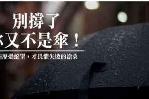 別撐了，你又不是傘！