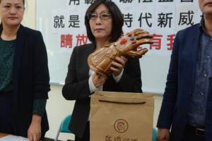 葉毓蘭： 「討厭民進黨」被「蹭韓黨」取代