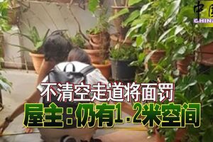 「森林屋」風波不清空走道將面罰屋主：仍有1.2米空間