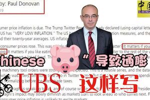 「ChinesePig」導致通膨！瑞士全球首席經濟師唐納文激起千重浪。