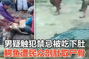 男疑觸犯禁忌被吃下肚　鱷魚遭民眾剖肚取屍骨
