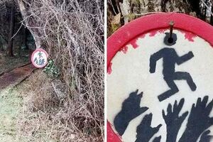 歪果網友在森林深處的各種神奇發現…果然林子大了什麼都有