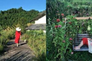 「獨自深山隱居」打造桃花源！自給自足「整座山都是她的花園」活出人人稱羨生活