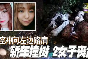 失控沖向左邊路肩，轎車撞樹，2女子身亡！