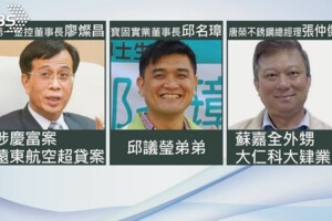 挺綠有官做？　韓辦揪「民進黨十大酬庸肥貓」