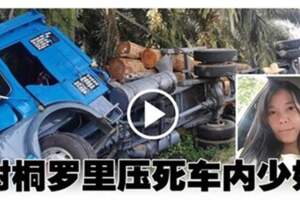 車遭樹桐羅裡「泰山壓頂」　華裔少婦喪命