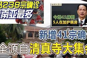 238宗確診-東南亞最多，大馬新增41宗確診，全源自清真寺大集會！