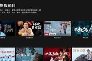 原來Netflix有隱藏代碼！輸入隱藏的代碼就能看「成人動作影片、各國動畫片」