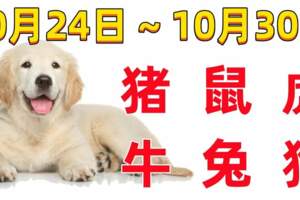 12生肖一周（10.24~10.30）