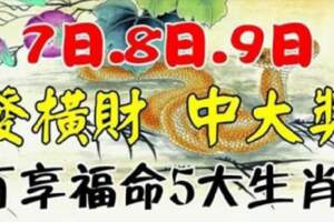 7日.8日.9日發橫財中大獎，大富大貴享福命的五大生肖