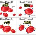 原來得病跟「血型」也有關！什麼血型要注意什麼健康隱患，很準阿！早點知道就好了...