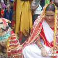 印度18歲女子被迫與流浪狗結婚為部落驅走厄運