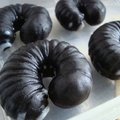日本咖啡廳販售的毛毛蟲軟糖，你有勇氣將他們吃下肚嗎？