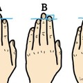 無名指的長短竟然是一個人的性格寫照，準確到爆，看完結果讓我反思這半輩子是不是走錯路了。