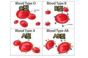原來得病跟「血型」也有關！什麼血型要注意什麼健康隱患，很準阿！早點知道就好了...