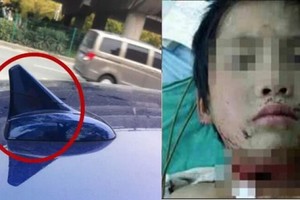 這個「怪物」連汽車都怕，人碰到更會喪命！一定要離它遠一點！