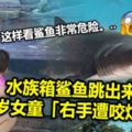 (內有視頻看）水族箱鯊魚跳出來　6歲女童「右手遭咬爛」