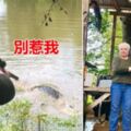 史上最愛記仇！「養的馬被鱷魚吃掉」73歲阿嬤足足記恨3年…一槍把牠爆頭