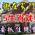 財運就在家門口，六天內五大生肖就要發，一定要抓住機會啊