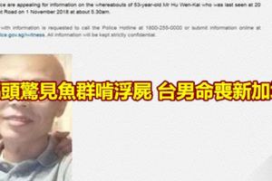 碼頭驚見魚群啃浮屍台男命喪新加坡