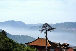一個厲害之人，身上都有這4個特點，能遇到是你的福氣，好好珍惜