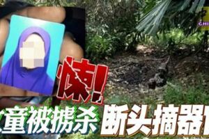 悚！女童被擄殺斷頭摘器官！