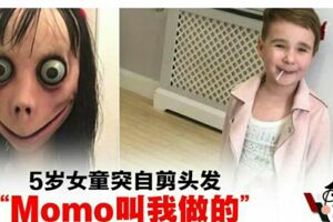 5歲女童突自剪頭發：「Momo叫我做的」