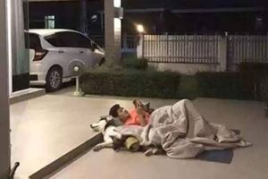 敢跟老婆吵？男子「被丟包外面」　網友狂笑：月月被你連累