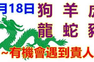 9月18日生肖運勢_狗、羊、虎大吉