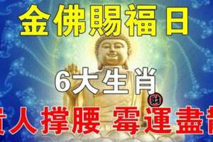 金佛賜福日，六大生肖貴人撐腰，黴運盡散