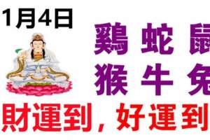 11月4日生肖運勢_雞、蛇、鼠大吉