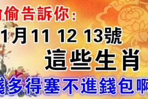 1月11.12.13號，這些生肖錢多得塞不進錢包啊