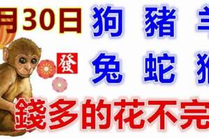 1月30日生肖運勢_狗、豬、羊大吉