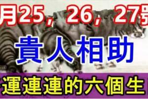 2月25，26，27號貴人相助，好運連連的六個生肖