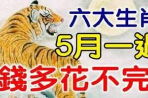 5月一過，六大生肖錢多的花不完