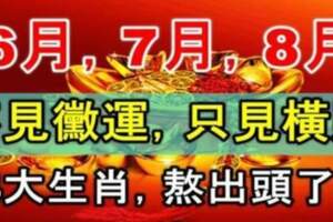 6月份到8月份：不見黴運，只見橫財，四大生肖熬出頭了