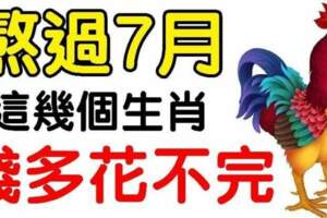 熬過7月，這幾個生肖錢多花不完