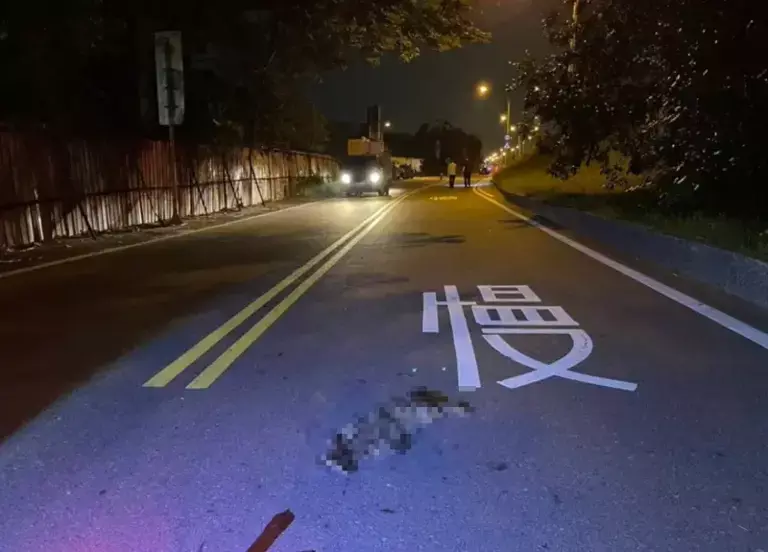 ▲一名林姓男大生就讀勤益科技大學，騎車經過太平區太堤東路時，為了閃避突然衝出的野貓，衝向對向車道撞上鐵皮圍籬，最終因傷重送醫不治，野貓也被撞死在現場。（圖／翻攝畫面）