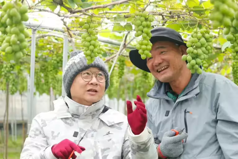 ▲邰智源(右)在節目中意外剪錯葡萄果實,開玩笑說想「塞回去」。(圖/公視台語台) ▲邰智源(右)在節目中意外剪錯葡萄果實,開玩笑說想「塞回去」。(圖/公視台語台)