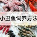 神仙魚，你們認識嗎？