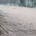 暴雨成災！黃泥水滾滾驚悚畫面曝光 嘉義縣5地區今上午緊急停班課