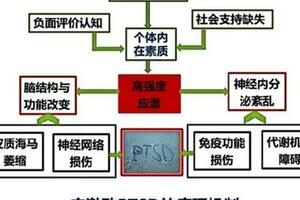 如何應對在養龜過程中，烏龜出現的各種應激反應？